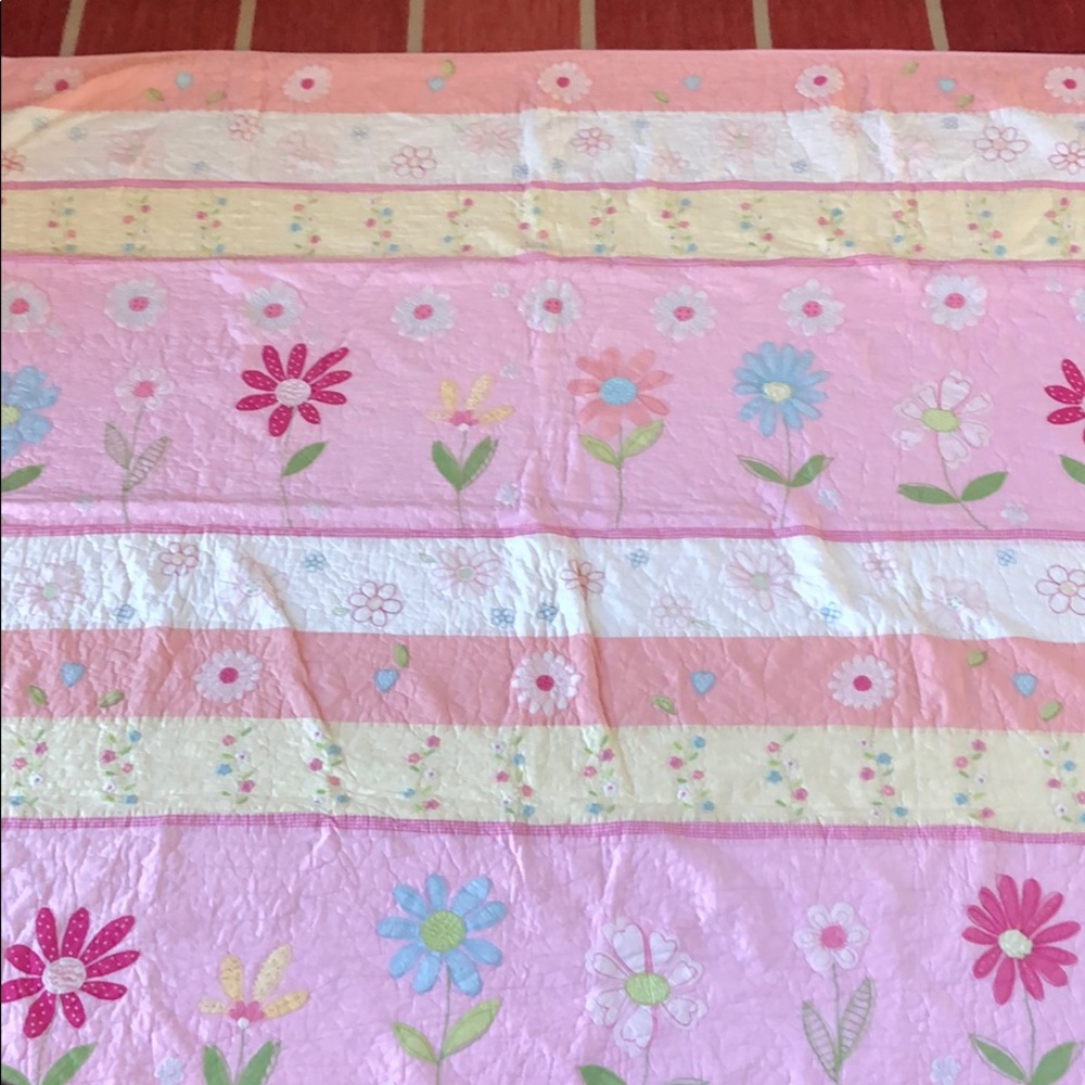 PBK Daisy Garden size FULL quilt and two shams
